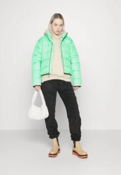 The North Face Jacket - Winter Jacket - Chlorophyll Green 14 The North Face Jacket - Winter Jacket - Chlorophyll Green -The North Face 0cbbaddf6e624e7eafff3cee8b233993