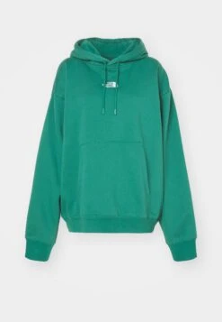 The North Face ESSENTIAL OVERSIZED HOODIE - Sweatshirt - Light Grey Heather 22 The North Face ESSENTIAL OVERSIZED HOODIE - Sweatshirt - Light Grey Heather -The North Face 0d3f99745af84bddac585084440027ea 1