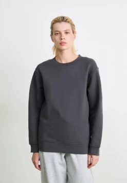 The North Face DOME RELAXED CREW - Sweatshirt - Anthracite Grey