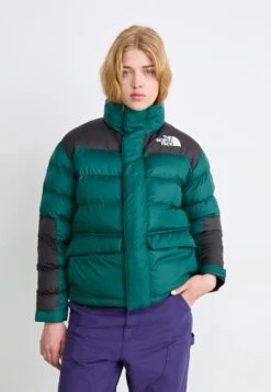 The North Face LIMBARA INSULATED - Winter Jacket - Hunter Green