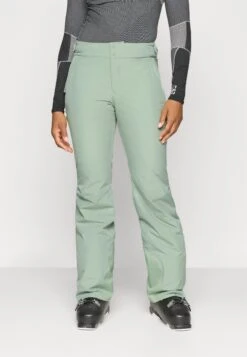 The North Face DESCENDIT PANT - Ski Pants - Slate Moss