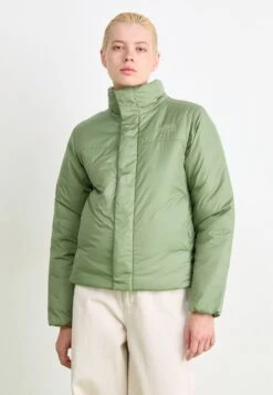 The North Face SIURANA JACKET - Winter Jacket - Bark Mist/slate Moss