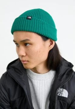 The North Face FISHERMAN BEANIE UNISEX - Beanie - Gravel -The North Face 535c01d9f72644cbbe56139d2ad8648a