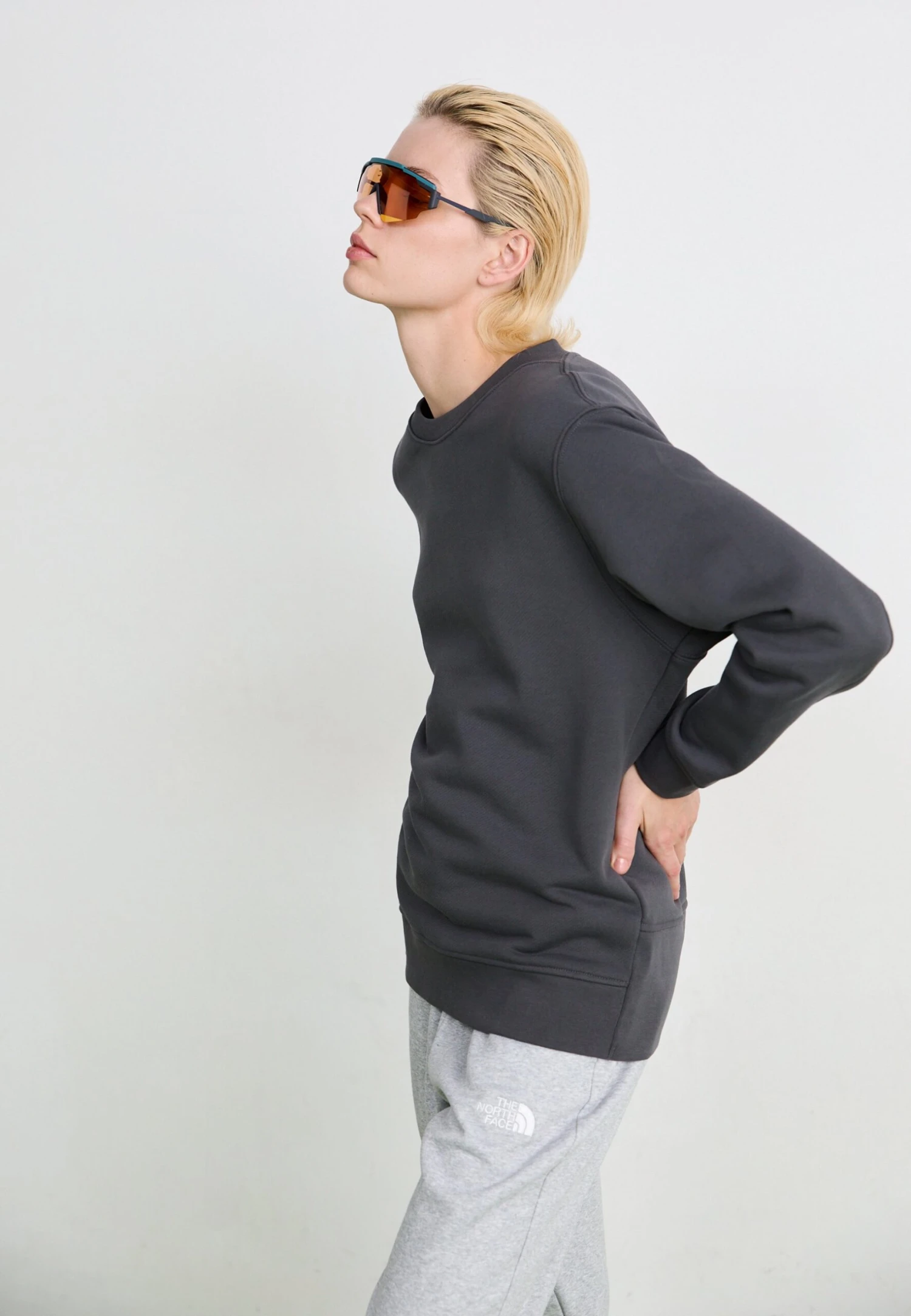 The North Face ESSENTIAL JOGGER - Tracksuit Bottoms - Light Grey Heather 6 The North Face ESSENTIAL JOGGER - Tracksuit Bottoms - Light Grey Heather - Image 4