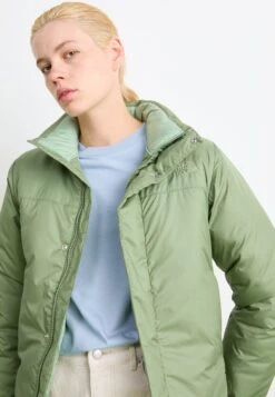 The North Face SIURANA JACKET - Winter Jacket - Bark Mist/slate Moss -The North Face 5859a10233b24abaa8cb8104e7a279c2