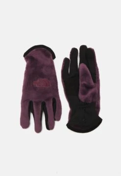 The North Face OSITO GLOVE UNISEX - Gloves - White -The North Face 5a4ed42b5dc549eaa13e703c619cc580