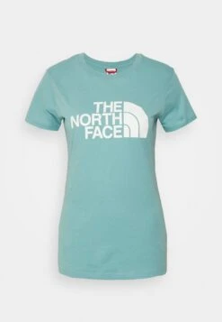 The North Face Standard Tee - Print T-Shirt - Reef Waters -The North Face 5dc4a8d6647b46098c9b1f51056ac4ff