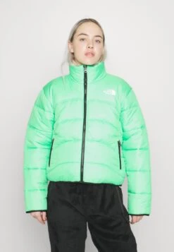 The North Face Jacket - Winter Jacket - Chlorophyll Green 12 The North Face Jacket - Winter Jacket - Chlorophyll Green -The North Face 5e2754730e424c2ab9b0a7809a22f48f