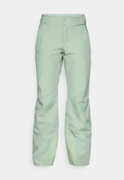 The North Face DESCENDIT PANT - Ski Pants - Slate Moss -The North Face 5f71bdd544504e47ae4e8b334f50e552