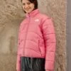The North Face Jacket - Winter Jacket - Cosmo Pink