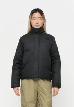 The North Face SIURANA JACKET - Winter Jacket - Black/anthracite Grey