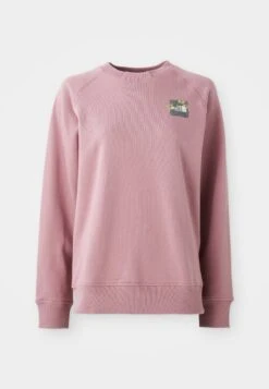 The North Face CONNECT RELAXED CREW GRAPHIC - Sweatshirt - Nostalgia Rose 13 The North Face CONNECT RELAXED CREW GRAPHIC - Sweatshirt - Nostalgia Rose -The North Face 826bc064a2aa4685a20f9ecd56930689