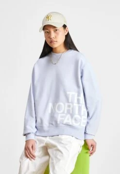The North Face Blown Up- Sweatshirt - Light Blue