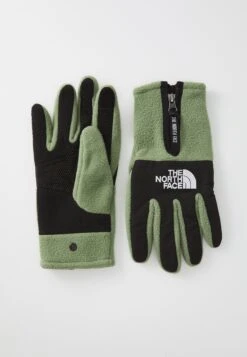 The North Face DENALI ETIP GLOVE UNISEX - Gloves - Bark Mist