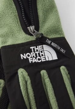The North Face DENALI ETIP GLOVE UNISEX - Gloves - Bark Mist -The North Face b592d47a8d2a453fa91f9d6d6512721a