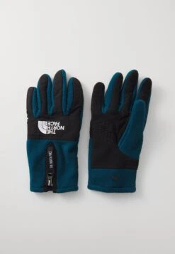 The North Face DENALI ETIP GLOVE UNISEX - Gloves - Black -The North Face c2610ddcdef1465e9b9efe12320b181a 1