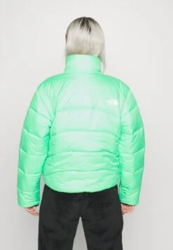 The North Face Jacket - Winter Jacket - Chlorophyll Green 13 The North Face Jacket - Winter Jacket - Chlorophyll Green -The North Face c7ef113c85444424bf1a75231b07b44c