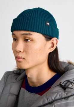 The North Face FISHERMAN BEANIE UNISEX - Beanie - Gravel -The North Face d08d2e0cb193469ba2f85487711ed46c