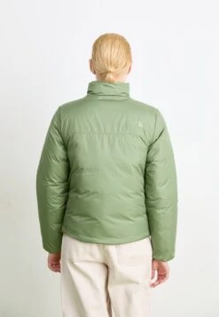 The North Face SIURANA JACKET - Winter Jacket - Bark Mist/slate Moss -The North Face e0ccc20d64a54b93a91e9b41a0b51830