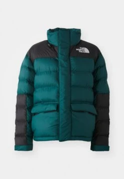 The North Face LIMBARA INSULATED - Winter Jacket - Black 15 The North Face LIMBARA INSULATED - Winter Jacket - Black -The North Face edd649eebf1c4d888ab72890ddad24ba