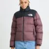 The North Face RETRO NUPTSE JACKET - Down Jacket - Tawny Quartz/black 2 The North Face RETRO NUPTSE JACKET - Down Jacket - Tawny Quartz/black -The North Face f552a2a9a88c41278997fe1842e68bd9