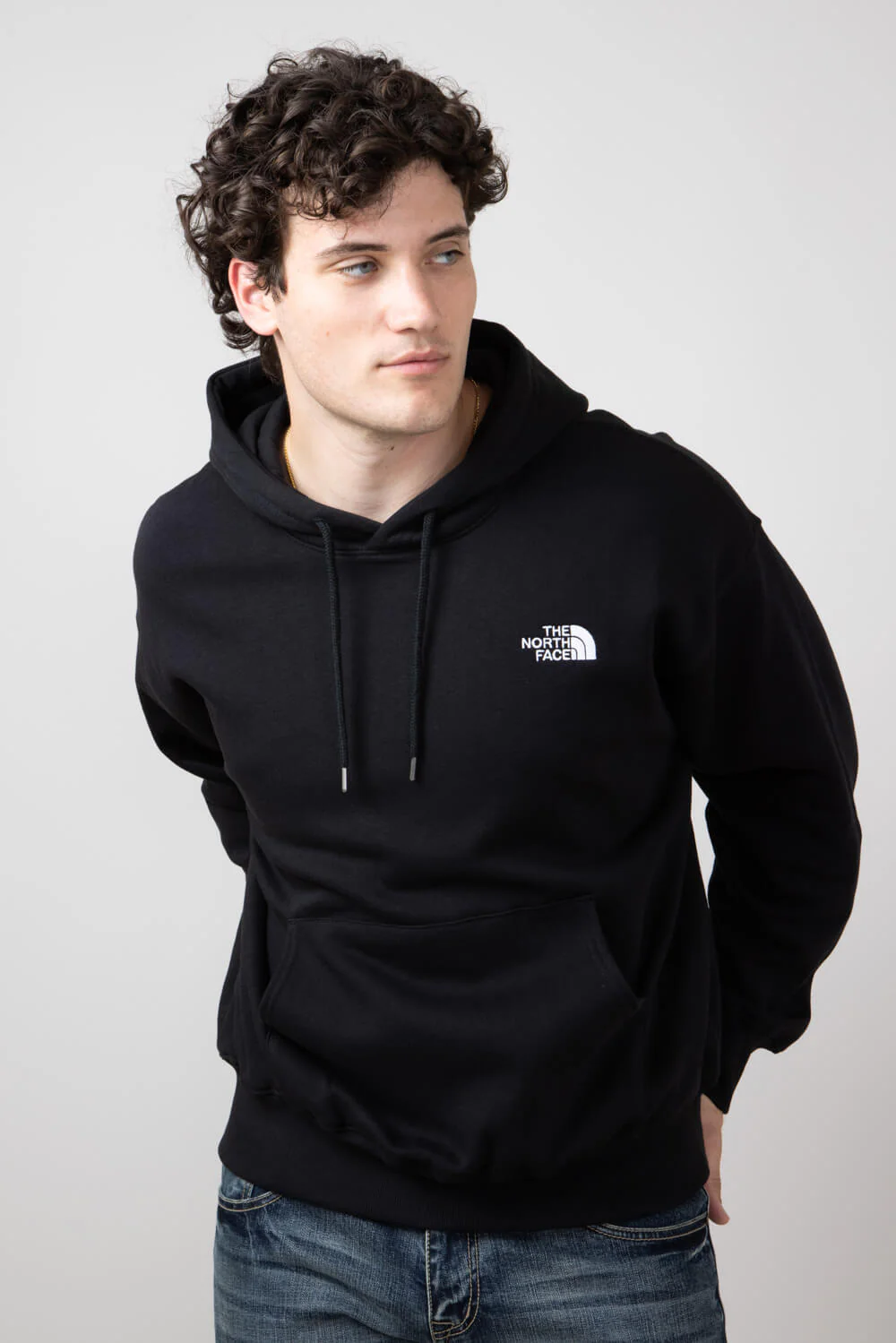 The North Face -The North Face the north face evolution vintage hoodie men black NF0A84GE JK3 BLK 2